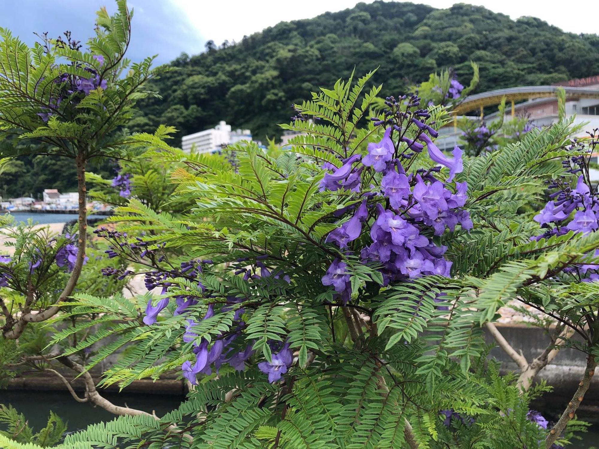 Rakuten Stay Atami Exteriér fotografie