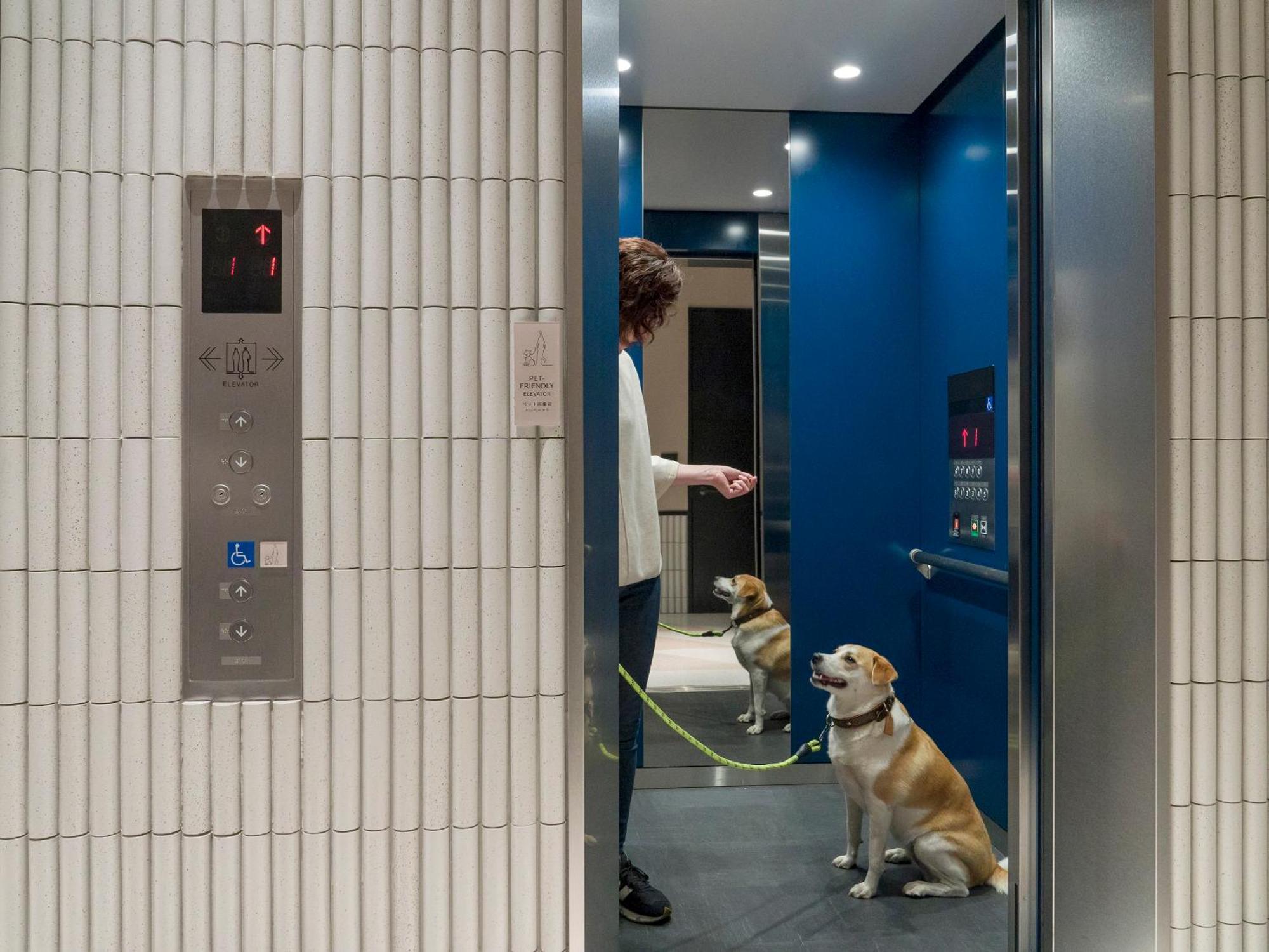 Rakuten Stay Atami Exteriér fotografie